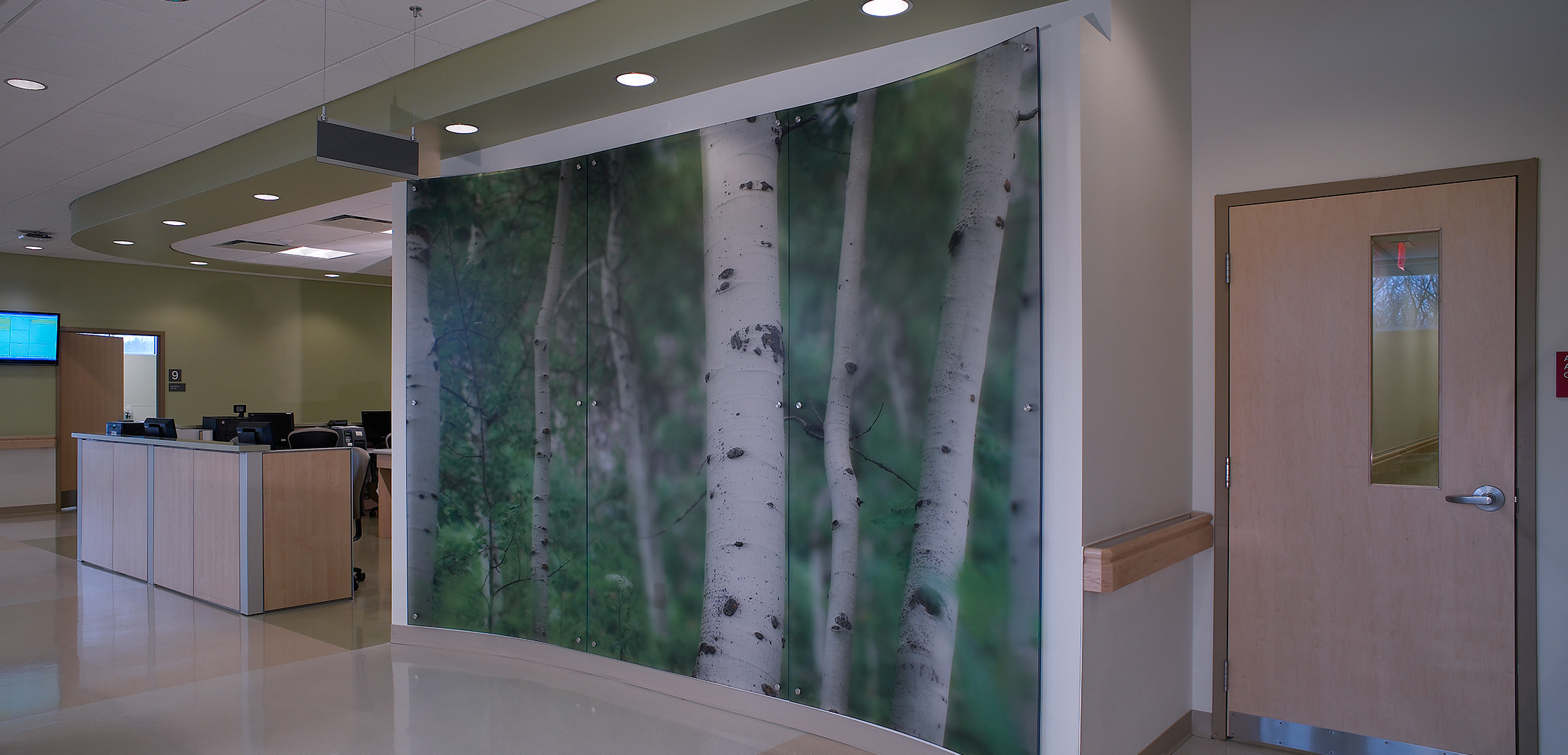An interior view of the Abramson Cancer Center reception lobby, showcasing the birch image curved glass wall showpiece.